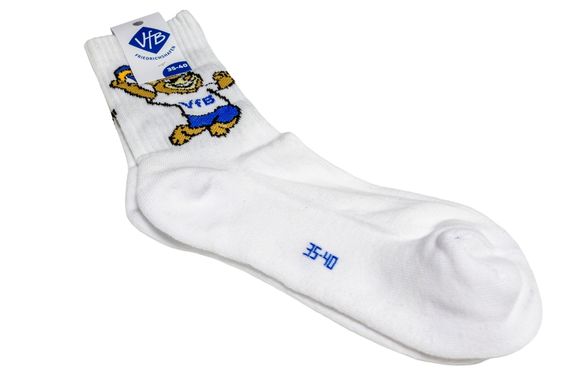 Bärti Socken