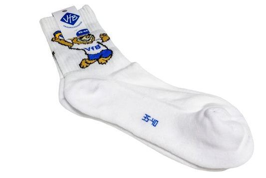 Bärti Socken